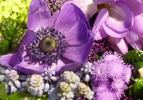 Der Rhein als ruhiger Strom